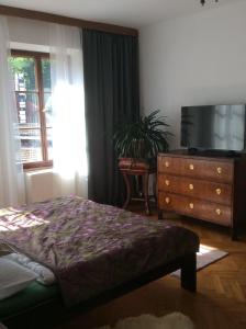 TV a/nebo společenská místnost v ubytování Apartments Dlouhá 93