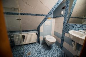 a small bathroom with a toilet and a sink at Apolonia Willa in Zakopane