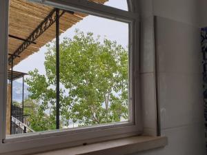 a window in a room with a tree outside at Regina Margherita in Positano