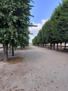 a row of trees lining a dirt road at Appartement 48m2 pour 6 personnes au centre ville historique avec parking gratuit et une borne de recharge pour voiture à 10 metres in Avallon