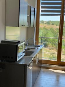una cucina con forno a microonde su un bancone con finestra di Papa Apartments a Berovo