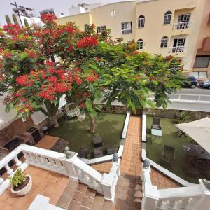 A garden outside Corralejo Garden&Relax