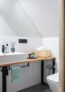 a bathroom with a sink and a toilet at Mount Apart Center in Zakopane