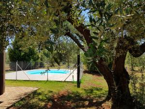 Der Swimmingpool an oder in der Nähe von Villa Ophelia