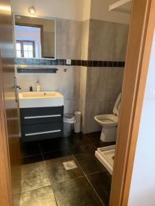 a bathroom with a sink and a toilet at Travellers' Haven in Bled