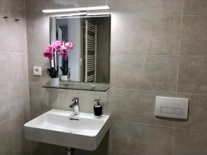 La salle de bains est pourvue d'un lavabo, d'un miroir et de fleurs. dans l'établissement Business Apartments, à Brno