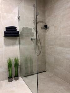 um chuveiro com uma porta de vidro na casa de banho em Business Apartments em Brno