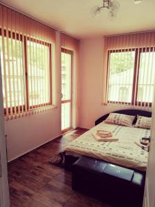 a bedroom with a bed in a room with windows at Petrov Apartment in Tryavna