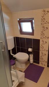 Koupelna v ubytování Apartman Sunčana dolina, Zaovine