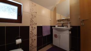 Koupelna v ubytování Apartman Sunčana dolina, Zaovine + 33 fotografií