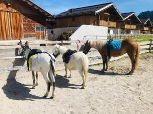 Loomad hotelli aladel või selle läheduses