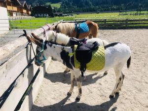 Loomad hotelli aladel või selle läheduses