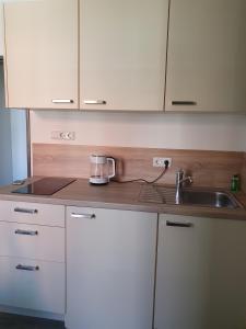 a kitchen with a sink and a counter top at Inselkern Einraum-Apartments in Juist