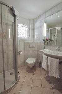 a bathroom with a toilet and a sink and a shower at Haus Shangri-La in Saas-Fee