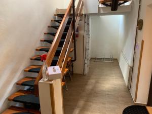 Φωτογραφία από το άλμπουμ του Ubytování U dvou babiček σε Horní Věstonice