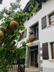 einem Orangenbaum vor einem Gebäude in der Unterkunft EKIALDE rural in Arantza