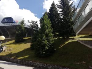 Vonkajšia záhrada v ubytovaní Vetrate sul bosco