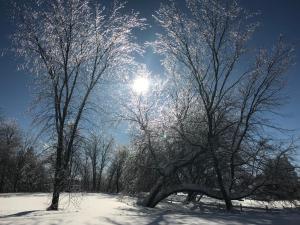 a sun shining between two trees in the snow at Auberge du Sault-à-la-Puce in Chateau Richer