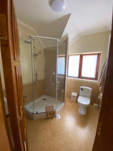 Gallery image of Guest house Mountain View in Polyana