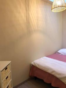 a bedroom with a bed and a chandelier at gite 4 Pers coeur de village in Jujurieux