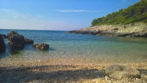 Fotografie z fotogalerie ubytování Planika Apartments 2 v destinaci Korčula