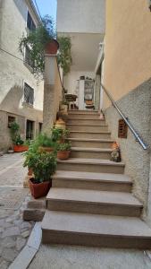a staircase leading up to a building with potted plants at Franceska apartmani in Cres