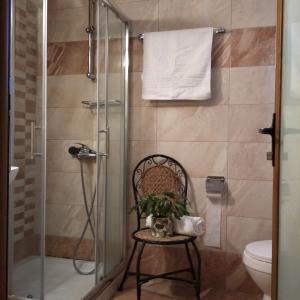 a bathroom with a shower with a chair and a toilet at Xenia Palace luxury apartments in Nea Vrasna