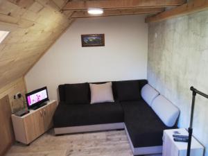 a living room with a black couch and a tv at Athos mountain in Crni Vrh