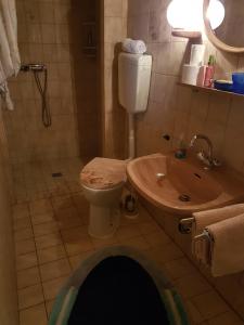 a bathroom with a toilet and a sink at Ferienwohnung Sander in Wendershausen