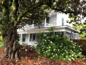 een wit huis met een boom ervoor bij Magnolia House & Gardens B&B in Clover