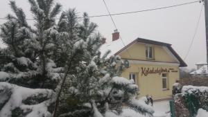 un árbol cubierto de nieve frente a una casa en Apartamenty i pokoje gościnne KOŁODZIEJÓWKA en Sandomierz