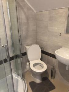 een badkamer met een toilet en een wastafel bij Bernat in Puławy