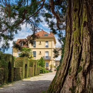 Zahrada ubytování HOTEL DES DAUPHINS