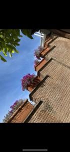 a group of plants on the side of a roof at VILLA MARIPOSA in Nettuno