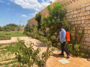 Ein Mann geht durch einen Garten in der Unterkunft Kom El Dikka Agri Lodge in ‘Izbat an Nāmūs