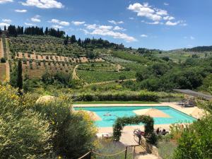 une piscine au milieu d'un vignoble dans l'établissement Borgo Del Cabreo, à Greve in Chianti