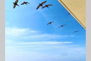 Kép Beach Front 18th Flr, Best Ocean View, New Upgrades szállásáról Destinben a galériában