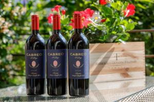 Borgo Del Cabreo的酒水