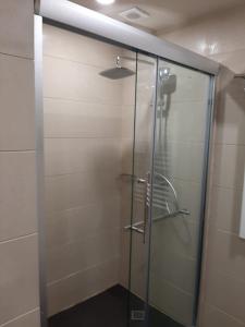 a shower with a glass door in a bathroom at Dreamland Oasis of happiness in Chakvi