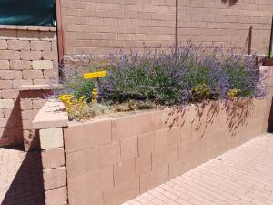 a brick retaining wall with flowers and plants at Ubytování U Janča in Lednice