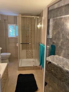 ein Bad mit einer Dusche und einem WC in der Unterkunft Byron House in Kiónion