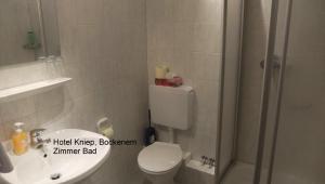 a bathroom with a toilet and a shower and a sink at Hotel Kniep in Bockenem +38 photos