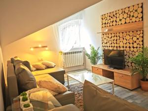 a living room with a couch and a tv at Chillout-aparts in Świeradów-Zdrój