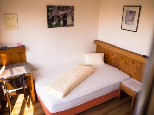 ein kleines Zimmer mit einem Bett mit Kissen darauf in der Unterkunft Gasthof Meindl in Lustenau