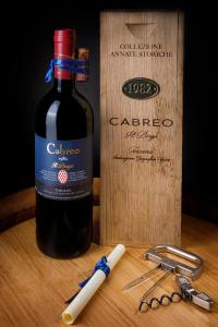 基安蒂格雷夫Borgo Del Cabreo的相册照片