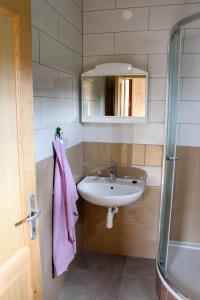 uma casa de banho com um lavatório e um espelho em Chaty U Cvrků em Orlík