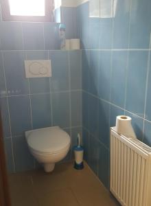 een blauw betegelde badkamer met een toilet en een radiator bij Na samotě u lesa -Rasovna in Mšecké Žehrovice
