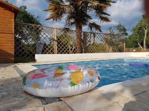 a swimming pool with a inflatable raft in front of it at Quinta Portugo in Cernache do Bonjardim