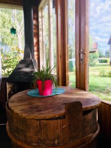 Zahrada ubytování Arthome Småland + 37 fotografií