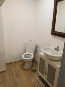 Koupelna v ubytování Apartmán ve mlýně